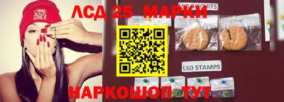 крисы Будённовск