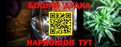 крисы Будённовск