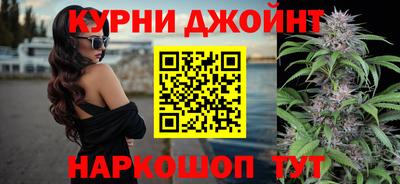 крисы Волжский