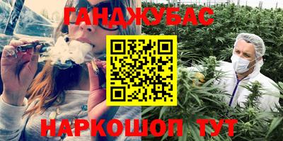 крисы Будённовск
