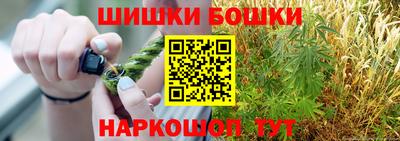 крисы Будённовск