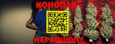 крисы Будённовск