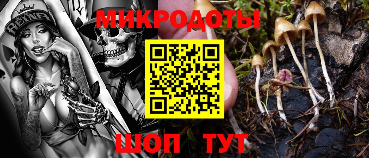 Вышний Волочёк  Псилоцибиновые грибы ЛСД  где найти   Вход с VPN 