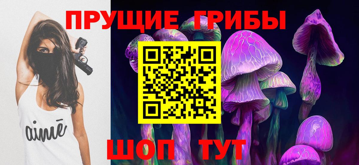 Галлюциногенные грибы Psilocybe  Галлюциногенные грибы Psilocybe  Вышний Волочёк 