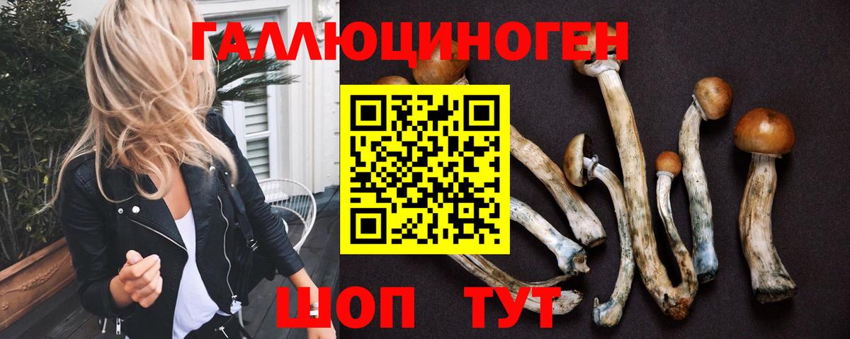 Галлюциногенные грибы Psilocybe Вышний Волочёк